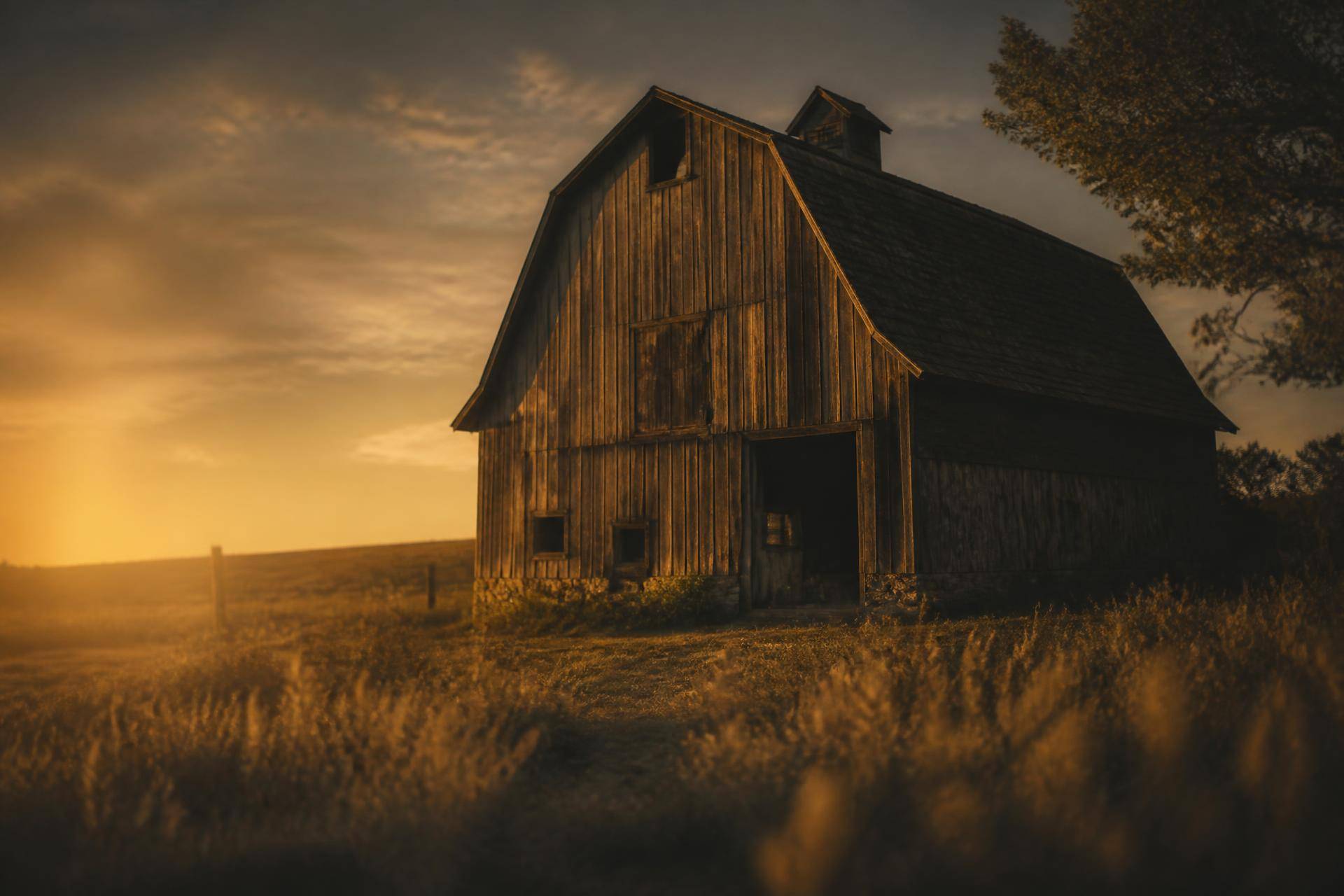 Rural landscape at golden hour — a weathered barn in a quiet pasture